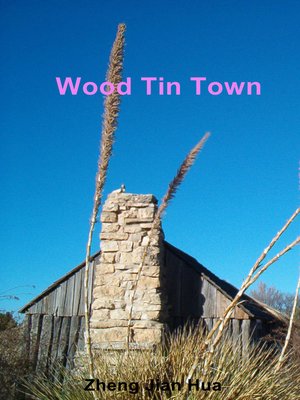 cover image of Wood Tin Town